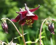 images 2.webp