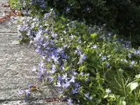 BILD0585.webp
