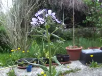 BILD1352.webp