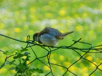 247.webp