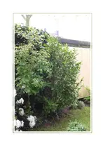GIMG_5786.webp