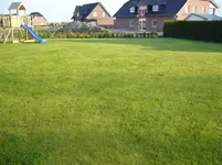P1080375.webp