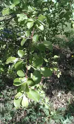 IMAG0193.webp