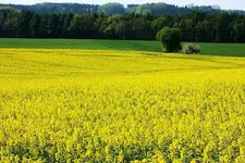 Feld und Flur_kl.webp