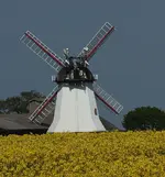 Eyendorfer Mühle im blühenden Raps_kl.webp