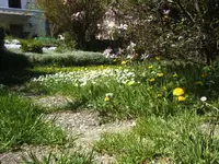 BILD1340.webp