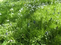 BILD1344.webp