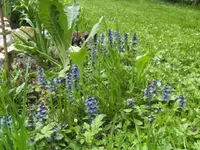 BILD1361.webp