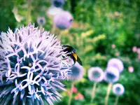 DSCF4361c.webp