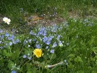 BILD1353.webp