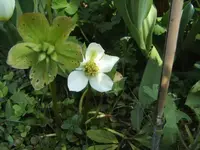 BILD1331.webp