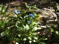 BILD1345.webp