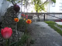 BILD1337.webp