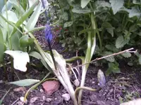 BILD1355.webp