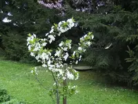 BILD1362.webp