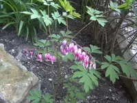 BILD1336.webp