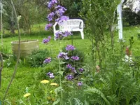 BILD1356.webp