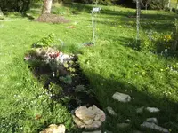 BILD1318.webp