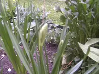 BILD1364.webp