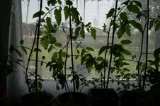 IMG_8169.webp