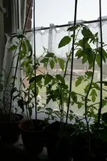 IMG_8170.webp