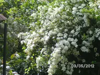 BILD0011.webp