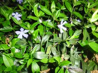 SAM_0433.webp