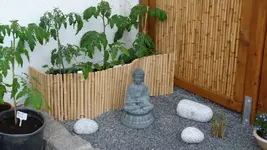 Buddha_wacht.webp