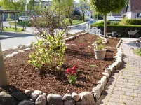DSCF5758.webp