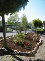 DSCF5759.webp
