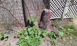 IMAG0027.webp