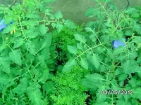 k-BILD0681.webp