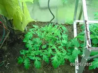 k-BILD0685.webp