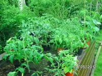 k-BILD0686.webp