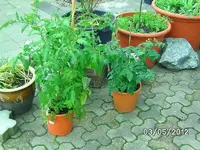 k-BILD0687.webp