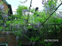 k-BILD0688.webp
