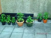 k-BILD0689.webp