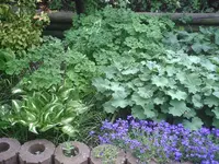 Beet mit Clemi.3.5.2012.webp
