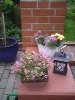 Etwas Deko.3.5.2012.webp