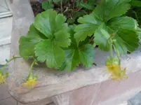 SAM_0676.webp