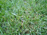 CIMG2050.webp