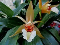 IMG_2002 - Kopie.webp