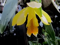 IMG_2009 - Kopie.webp