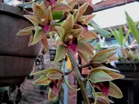 IMG_2149 - Kopie.webp