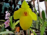 IMG_2209 - Kopie.webp