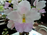 IMG_2437 - Kopie.webp