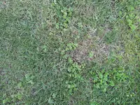 20120503_170805.webp
