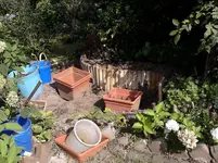 P010911_15.49.webp