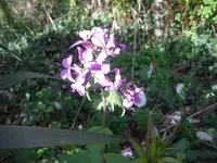 CIMG7120.webp