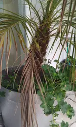 IMAG0595.webp